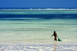 Una pescatrice di molluschi in caccia luno una spiaggia di Zanzibar in Tanzania - © lkpro / Shutterstock.com