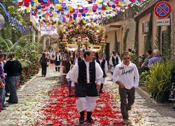 Petali di Rosa sul percorso della sfilata di Sant Efisio, la processione del 1° e 2 maggio che si muova da Cagliari fino alla spiaggia di Pula  - © Pecold / Shutterstock.com 