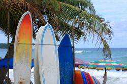 A Kata Beach, lungo la costa di Phuket, nel mese di settembre si tiene il Phuket Surfing Contest, importante competizione tra surfisti. Non sono meno appassionanti il Kalim Surf Contest ...