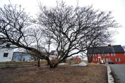 Piazza villaggio Henningsvaer Norvegia borgo pescatori Lofoten