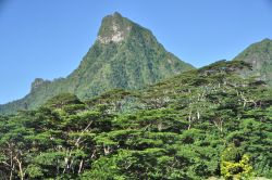 Picco vulcanico di Moorea in Polinesia. I vulcani sono estinti da tempo immemorabile