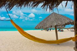 Piccole Antille: una bella spiaggia di Aruba con amaca. Siamo nei caraibi meridionali - © mffoto / Shutterstock.com
