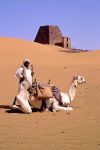 Piramide con cammello nel deserto del Sudan -  ...
