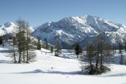 Le piste sci di Cesana Torinese fanno parte di quelle del comprensorio della Via Lattea  - © John Lindsay-Smith / Shutterstock.com