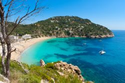 Playa Cala de Sant Vicent a Ibiza, Baleari - © Eric Gevaert / Shutterstock.com