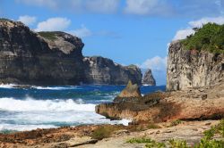 La Pointe de la Grande Vigie: queste magnifiche coste rocciose si trovano sulla punta nord della Grande Terre, "l'ala destra" di Guadalupa, l'isola a froma di farfalla - © ...