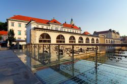 Ponte del drago sul fiume Ljubljanica, a Lubiana in Slovenia - © Tomas Sereda / Shutterstock.com