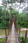 Ponte dentro alla foresta amazzonica  in Brasile - © Milosz_M / Shutterstock.com