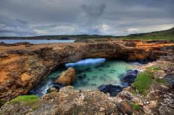 Ponte naturale di roccia su di un tratto di costa alta dell'isola di Aruba - © Kjersti Joergensen / Shutterstock.com