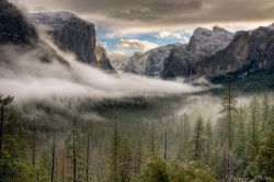 Foto della prima neve con banco di nebbia all'interno dela Parco Yosemite in California, USA - © Jeffrey T. Kreulen / Shutterstock.com