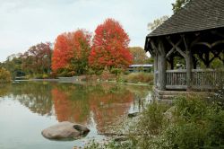 Panorama autunnale di Prospect Park a New York, Stati Uniti. Con i colori del foliage d'autunno lo scorcio paesaggistico offerto da questo parco è ancora più suggestivo - © ...