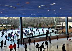 Pattinanggio su ghiaccio al Prospect Park di New York, Stati Uniti. Turisti e residenti si divertono pattinando nella pista di questo parco pubblico newyorkese che si estende per 237 ettari ...