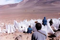 Puna de Atacama, sulle Ande nel nord dell'Argentina, escursione in alta quota - Foto di Giulio Badini I Viaggi di Maurizio Levi  www.deserti-viaggilevi.it