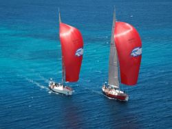 RC Reggatta Mount Gay Rum, una delle regate più famose a Barbados - Fonte: Barbados Tourism Authority