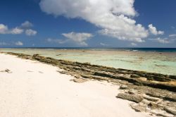 Il reef lungo la costa di Maupiti, arcipelago de la Société, Polinesia. La scogliera corallina a fior d'acqua fa da barriera al litorale, che non è direttamente colpito ...
