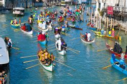 Regata storica Venezia, sul Canal Grande, durante il Carnevale di Venezia - © Anibal Trejo / Shutterstock.com