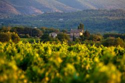 la regione intorno as Apt in Francia (Provenza) si trova nel dipartimento della Vaucluse, e offre parecchi spunti paesaggisitci - © csp / Shutterstock.com