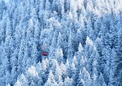 Panorama sui monti Carpazi, Brasov - Ricoperti dalla neve che nei mesi invernali cade copiosa in Romania, i Carpazi offrono agli appassionati di sci e attività sportive un'ampia scelta ...