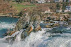 Le cascate di Sciaffusa in Svizzera - © NattyPTG / Shutterstock.com