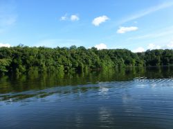 Il rio Jumas, afflunte delle Rio delle Amazzoni ...