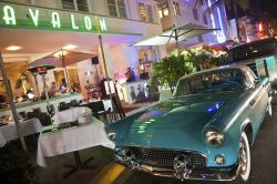 Ristorante Hotel Avalon, Miami Beach: non mancano certamente le possibilità di scelta fra le centinaia di ristoranti e di locali per la sera, in quella che è considerata la località ...