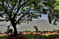 Ristorante sul  Lago Tana a Bahir Dar, Etiopia ...