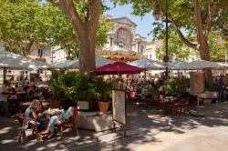 Ristoranti all'aperto ad Avignone in Provenza - Avignon Tourisme, Copyrights Yann de Fareins / Noir d’Ivoire