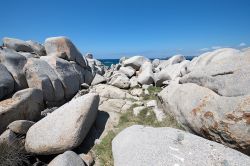 Come per gli scogli della vicina Gallura, le rocce dell'Isola Lavezzi in Corsica sono costituite da splendidi e compatti graniti.
