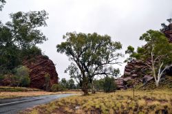 Le Rocce delle MacDonnel Ranges in Australia - Queste montagne, vecchie di oltre 400 milioni anni sono attraversate da gole e forre, molte delle quali da scoprire con stupende passeggiate o ...