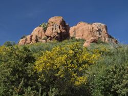 Rocce e macchia mediterranea nei pressi di Arbatax in Sardegna - © Shutterschock / Shutterstock.com