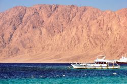 Rocce e mare a Nuweiba nel Sinai: siamo sul Mar Rosso in Egitto  - © Beneda Miroslav / Shutterstock.com