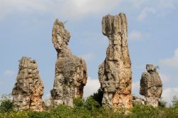 Rocce erose Stone Forest China la foresta di pietra in Cina. Questo tipo di paesaggio prende il nome di Karst, e si trova quando rocce calcaree vengono aggredite dal clima umido sub-tropicale, ...