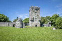 Le rovine della Cong Abbey, si trovano vicino a Corrib, nella regione di Connamara in Irlanda - © Markus Gann / Shutterstock.com