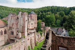 Rovine del castello di Heidelberg in Germania - ©German National Tourist Board