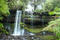 Russel Falls in Tasmania: ci troviamo nel Parco Nazionale Monte Field - © Curioso / Shutterstock.com