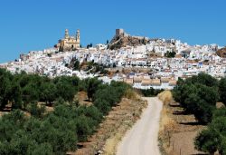 Ruta de los pueblos blancos, sullo sfondo il borgo di Olvera in Andalusia - © Arena Photo UK / Shutterstock.com