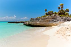 La spiaggia di sabbia bianca a Playacar, nel Quintana Roo: siamo nel cuore della Rivera Maya del Messico - © Agnieszka Guzowska / Shutterstock.com