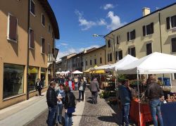 La Sagra del Vino a Casarsa della Delizia, i tradizionali mercatini e degustazioni nella primavera della città friulana