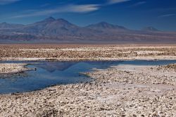 Il Salar de Atacama in Cile è una vasta pianura arida, dove si trova una elevata concentrazioni di sali. Qui non piove praticvamente mai, però il deserto riceve le acque dalle ...