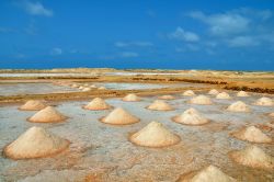 Saline sull'Isola di Sal a Capo Verde. i mucchietti ordinati di cloruro di sodio creano un paesaggio particolare sull'isola nord-orientale dell'arcipelago - © Styve Reineck ...
