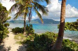 Sandy Cay, l'esclusiva spiaggia solitaria si trova a Jost Van Dyke, l'isola che porta il nome di un famoso pirata olandese, alle BVI  - © AJoel Blit / Shutterstock.com