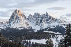 Sasslong e Alpe di Siusi in Val Gardena, una delle mete dello sci in Alto Adige - © S.Micheli / Shutterstock.com