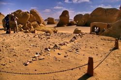 Scheletro di balena in Egitto, presso Wadi al-Hitan - In collaborazione con I Viaggi di Maurizio Levi