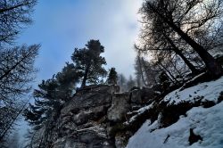 Sentiero nel bosco a  La Thuile, non distante al passo di San Carlo