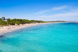 Ses Salinas la lunga spiaggia sabbiosa di Ibiza, isole Baleari - © holbox / Shutterstock.com