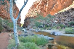 Il Simpson's Gap nelle MacDonnell Range - si trova nei pressi di Alice Springs nel Northern Territory in Australia - © Albert Pego / Shutterstock.com