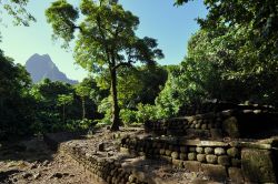 Sito archeologico di Opunohu, dove troviamo alcuni marae nella foresta di Moorea (Polinesia)