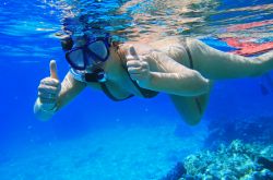 Snorkeling nel Mar Rosso a Sharm el Sheikh. Lungo la costa sud del Sinai si trovano parecchi punti adatti alle immersioni, e poco ad est della più famosa località di mare egiziana ...