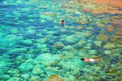 Formentera è un paradiso per gli amanti dello snorkeling: come le altre isole Baleari, nella Spagna centro-orientale, vanta un'acqua limpidissima e fondali da sogno, che alternano ...