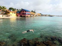 Snorkeling sull'isola di Bonaire, ai Caraibi - © nikitsin.smugmug.com / Shutterstock.com